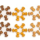 Grapat Mandala Mushrooms - Εικόνα 1